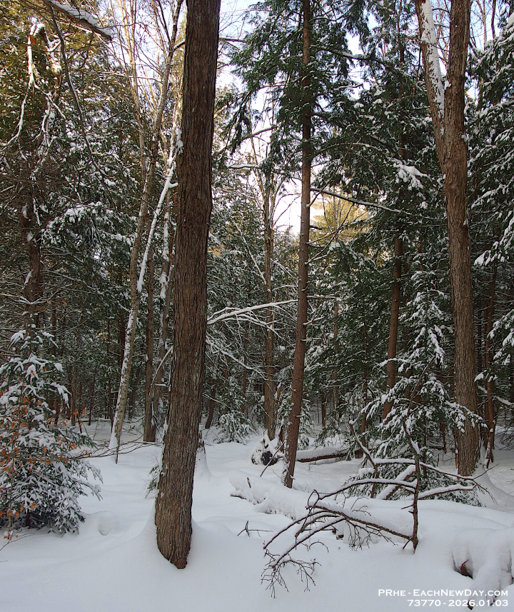 73770CrLeUsm - Snowshoeing with John - Deb